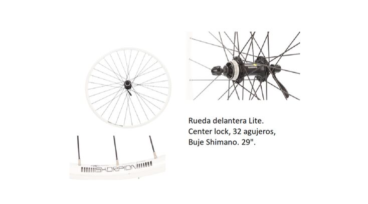RUEDA DELANTERA MTB LITE 29 (4)