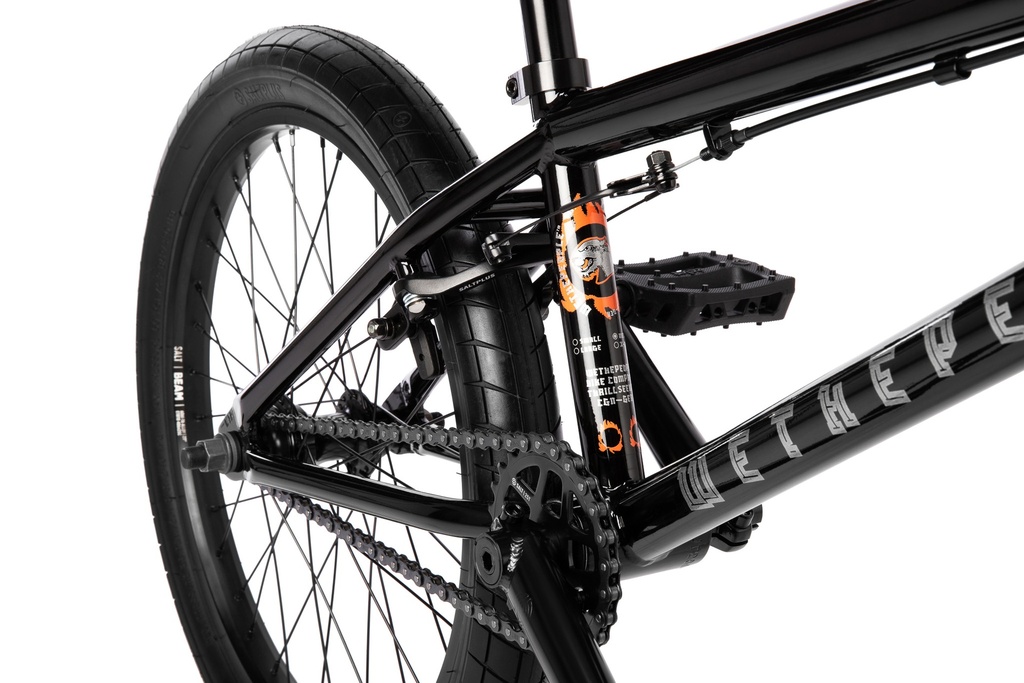 THRILLSEEKER M join our newsletter (7)