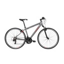 ZIRRA F 20X2,25 RAMP,STREET & PARK (3)