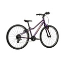 LIFTIE 24 (1)