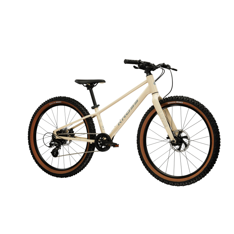 LIFTIE 24X (1)