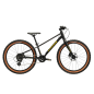 LIFTIE 24X (3)