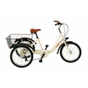 TRICICLO 20" 6V (1)