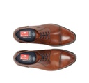 HERACLES 8412W Zapato MarrÃ³n (4)