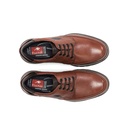 CELTIC F0248 Zapato MarrÃ³n (4)