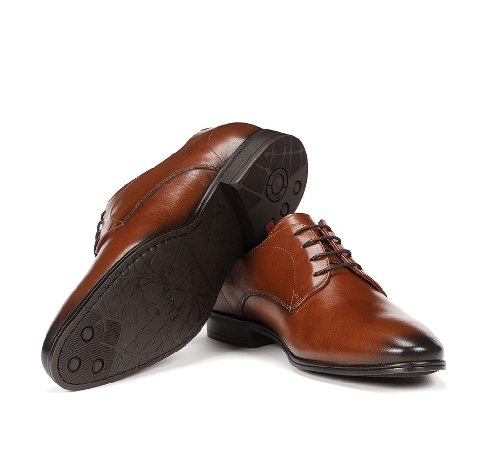 ADAM F0842 Zapato MarrÃ³n (4)