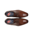 GOLEM 9952 Zapato MarrÃ³n (4)