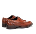 THEO F1626 Zapato MarrÃ³n (2)