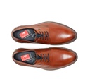 THEO F1626 Zapato MarrÃ³n (4)