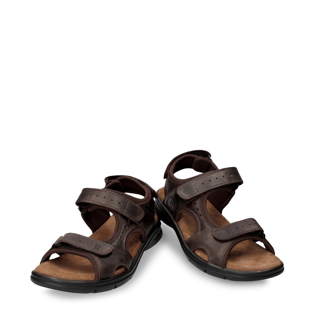 Salton Basics C1 Napa Grass Marron (3)
