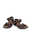 Sanders Basics C1 Napa Grass Marron (3)