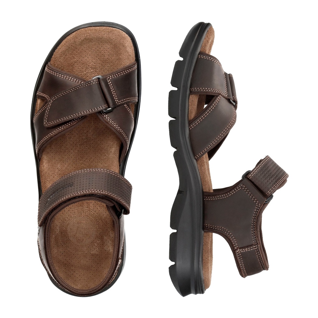 Sanders Basics C1 Napa Grass Marron (4)
