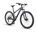 Avalanche Sport (2)