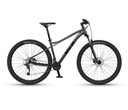 Avalanche Sport (3)