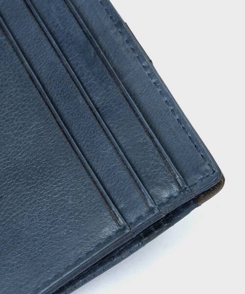 COMPLEMENTOS - Tarjetero multibolsillo para hombre (2)