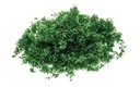 Flock – verde oscuro (1)