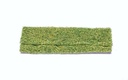 Follaje – hierba silvestre (verde claro) (2)