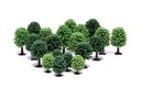 Árboles de hoja caduca para aficionados (1)