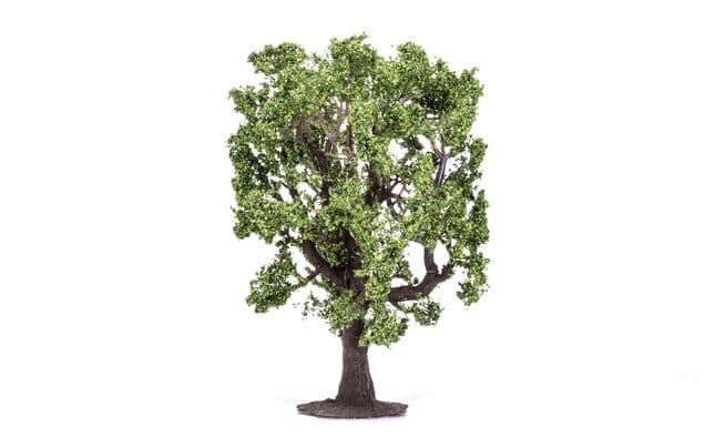 Roble (1)