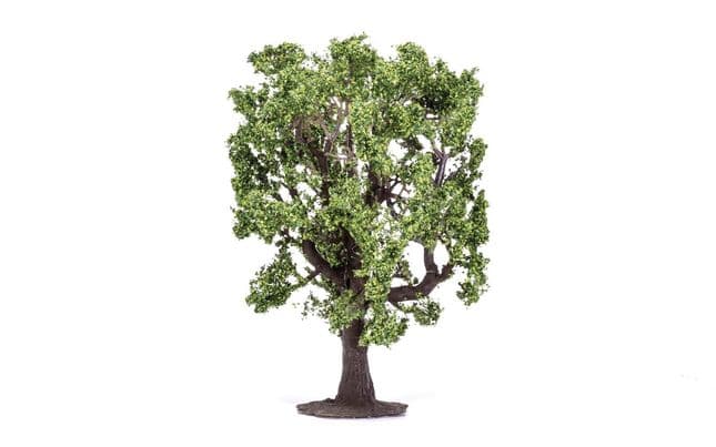 Roble (2)