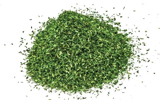 Césped esparcido – Verde oscuro (2)