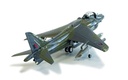 BAe Harrier GR9A 'Ninja 1' - Final Flight Retirement Scheme (9)