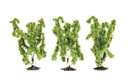 Birch Trees - 3x Pieces (2)