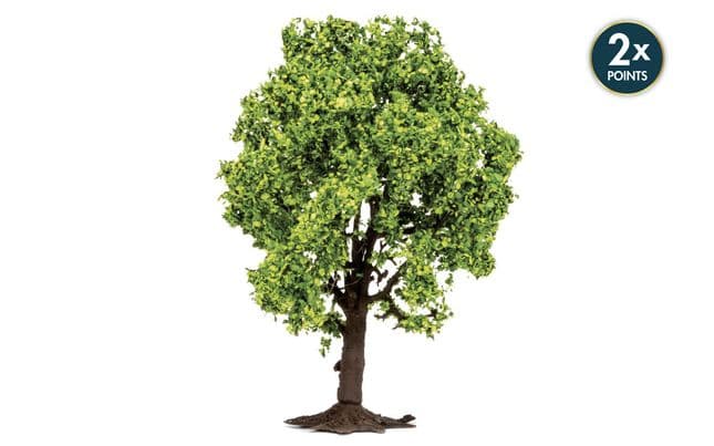 Fruit Tree (1)