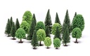 Hobby' Mixed (Deciduous and Fir) Trees (2)