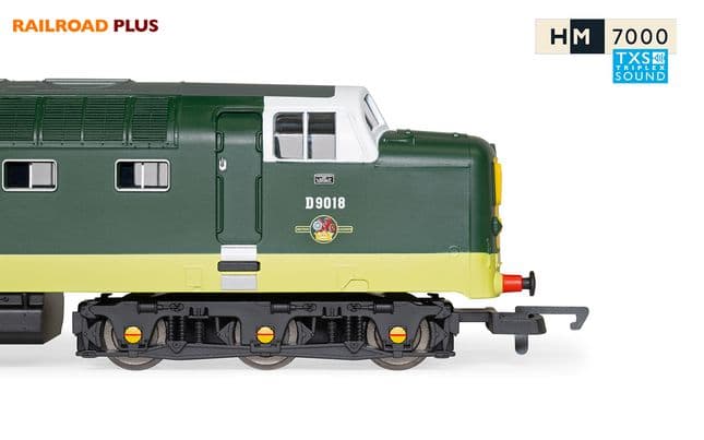 BR, Class 55, Deltic, Co-Co, D9018 ‘Ballymoss’- Era 5 (6)