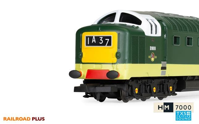 BR, Class 55, Deltic, Co-Co, D9018 ‘Ballymoss’- Era 5 (8)