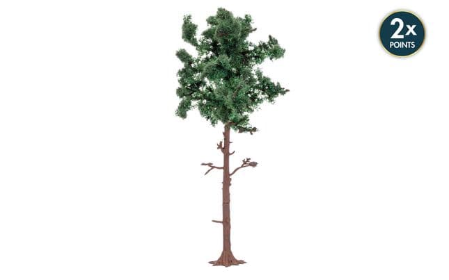 Large Pine Tree (1)
