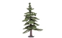 Medium Nordic Fir Tree (2)