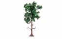 Medium Pine Tree (2)