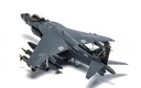 McDonnell Douglas AV-8B Harrier II Plus - 165001/01 - VMA-214 'Black Sheep' (5)