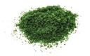 Flock – verde scuro (1)