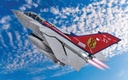 Panavia Tornado GR4 ZA461 15XV R Squadron Centenary Scheme 2015 (2)