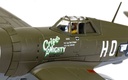 Republic P-47D Thunderbolt - 42-8500/HO-P 'Cripes A'Mighty' - Maj. George Preddy (6)