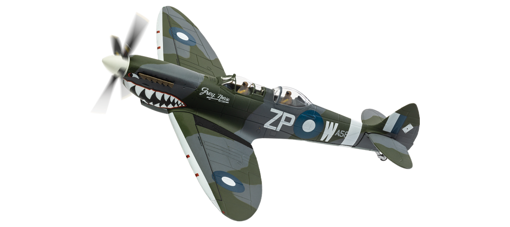 Supermarine Spitfire T.9 'Grey Nurse'- TE308 - Biggin Hill Heritage Hangar (9)