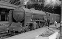 BR, Thompson Class A2/3, 4-6-2, 60512 'Steady Aim' - Era 4 (2)