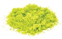 Flockage - Bright Green (1)