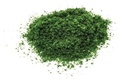 Flockage - Dark Green (2)