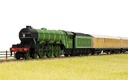 Flying Scotsman Train Set - Euro 2 pin plug (8)