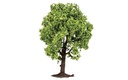 Albero da frutto (2)