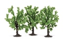Alberi da frutto (1)