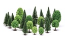 Alberi misti Hobby (latifoglie e abeti) (1)