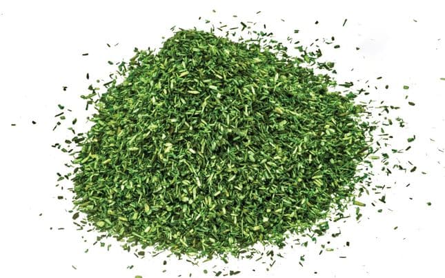 Scatter - Dark Green (1)