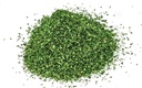 Scatter - Dark Green (1)