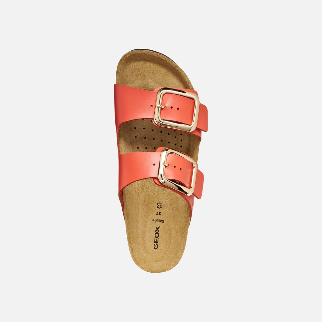 BRIONIA R MUJER - Sandalias de doble hebilla (7)