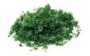 Flock – verde oscuro